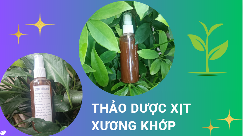 Thảo dược xịt xương khớp